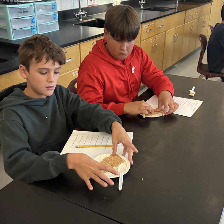 students doing lab