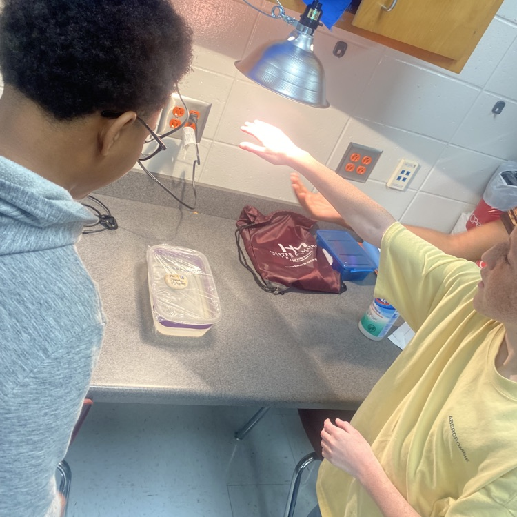students doing experiment