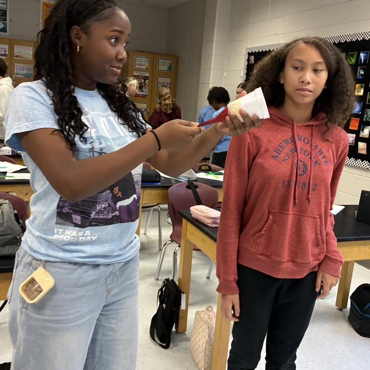 students doing experiment