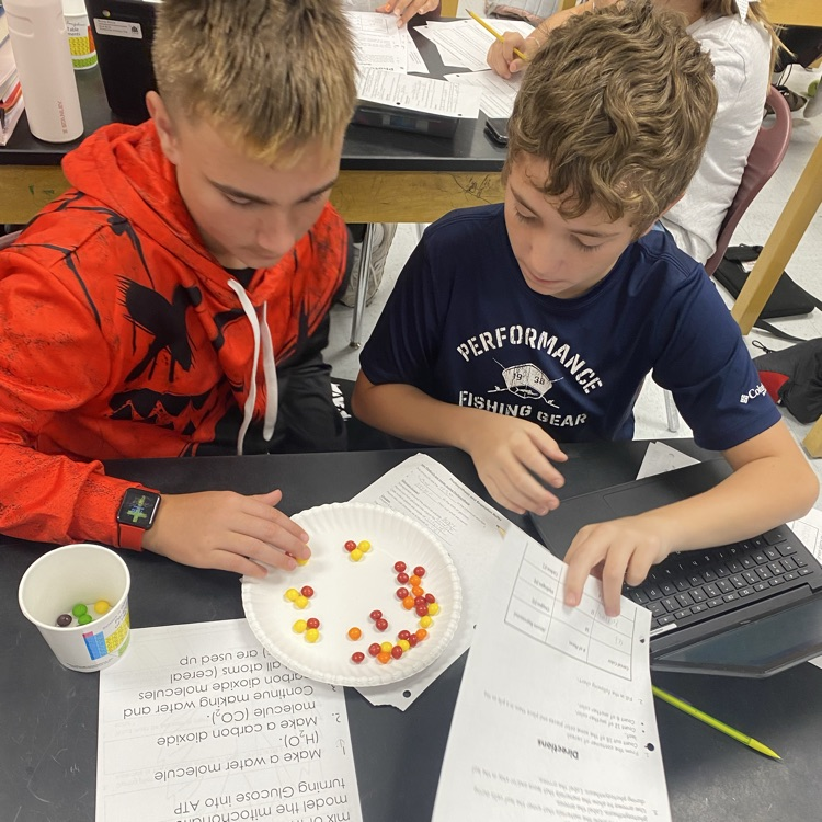 students working on a photosynthesis lab