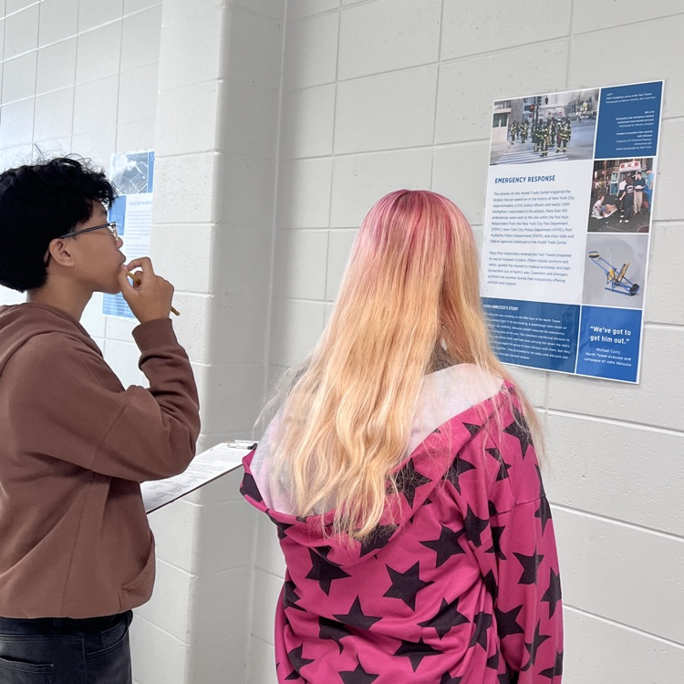 students studying posters on display