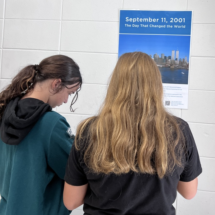 students studying posters on display