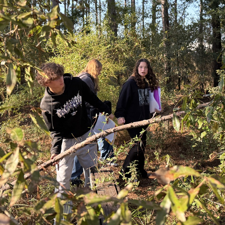 students exploring food forest