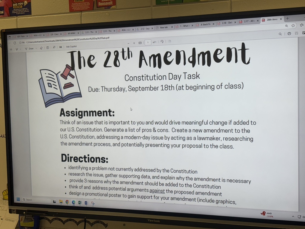 The 28th Amendment Assignment