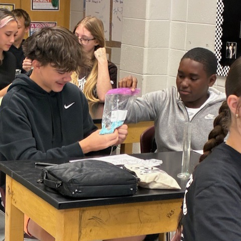 students doing lab 