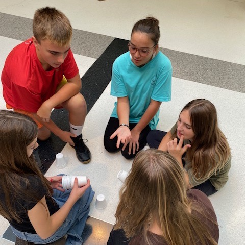science activity 