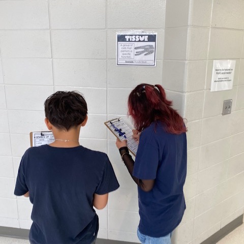 science activity 