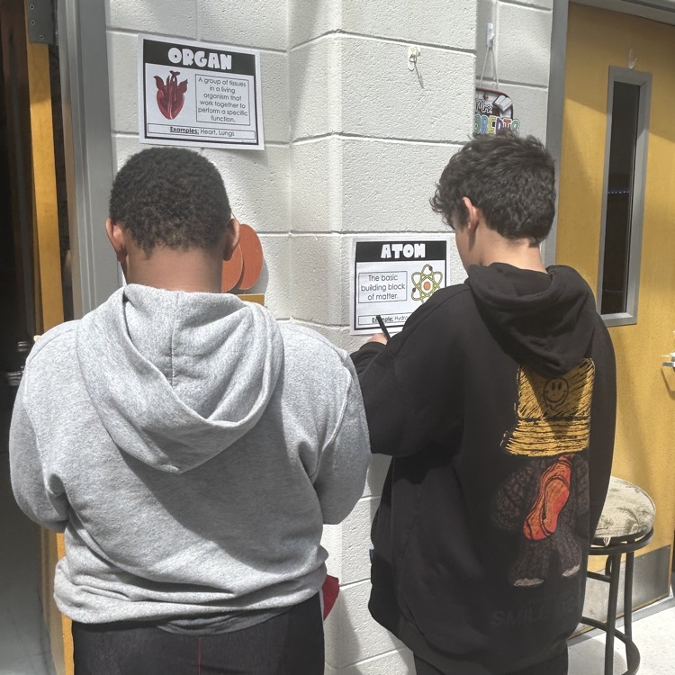 students completing science activity 