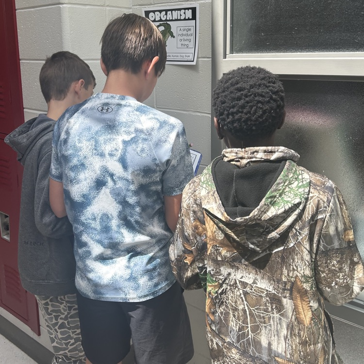 students completing science activity 