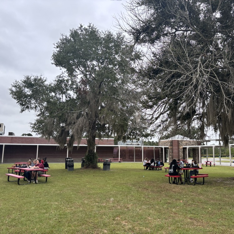 students working outside 