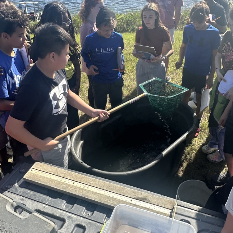 pond PBL 