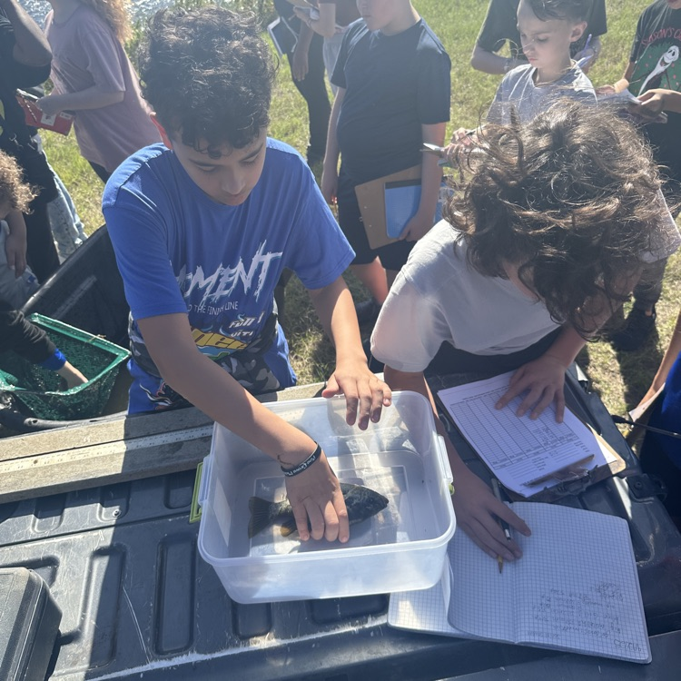 pond PBL 