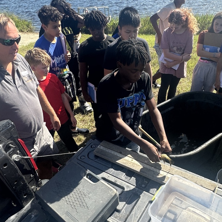 pond PBL 