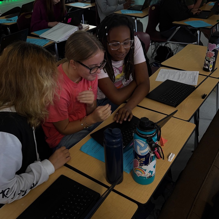 student creating website