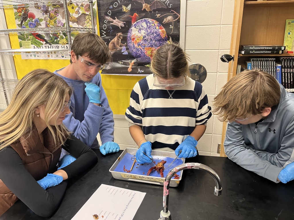 Zoology students dissecting crayfish