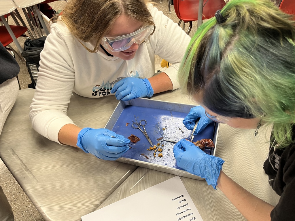 Zoology students dissecting crayfish