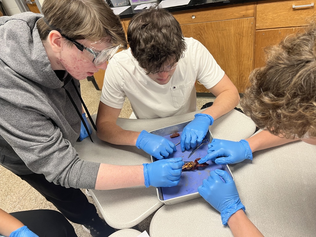 Zoology students dissecting crayfish