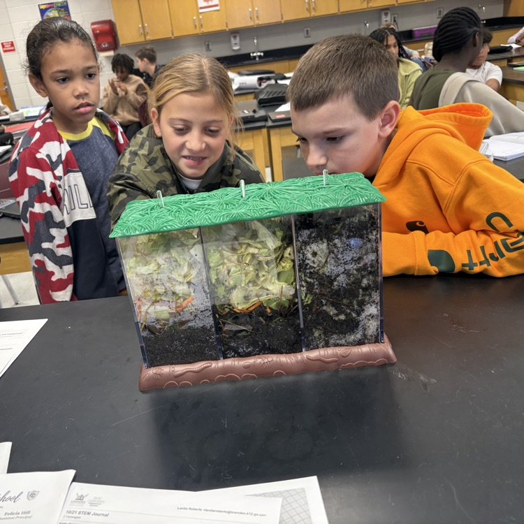 students observing compost 