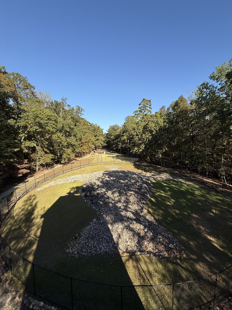 The view of the Rock Eagle from the tower.