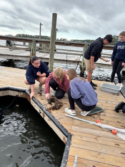 Students on the dock