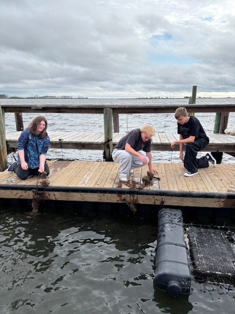Students on the dock