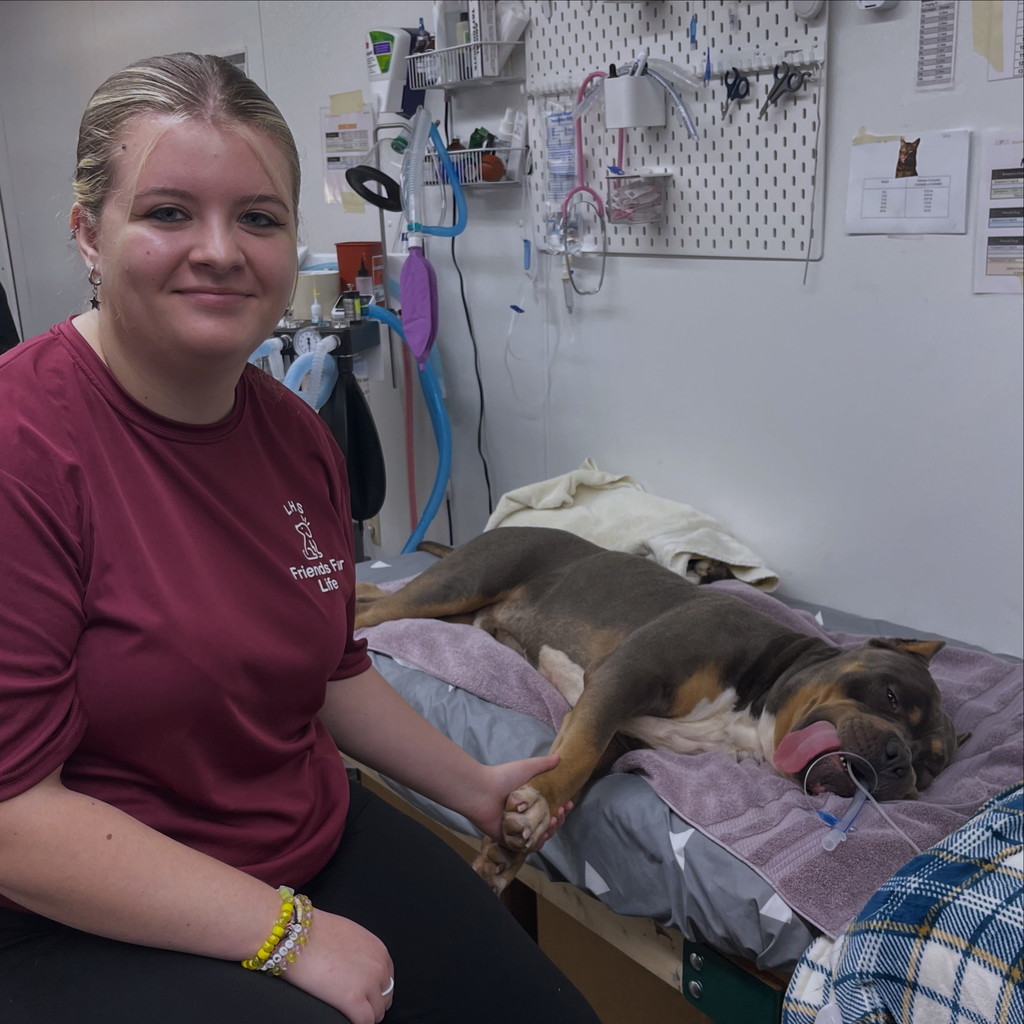 Kelsi with a sick dog