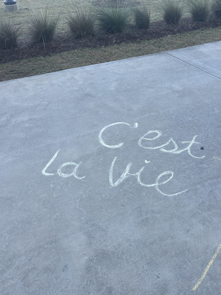 Sidewalk chalk C'est la vie