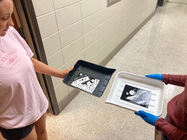 Photos developed in darkroom