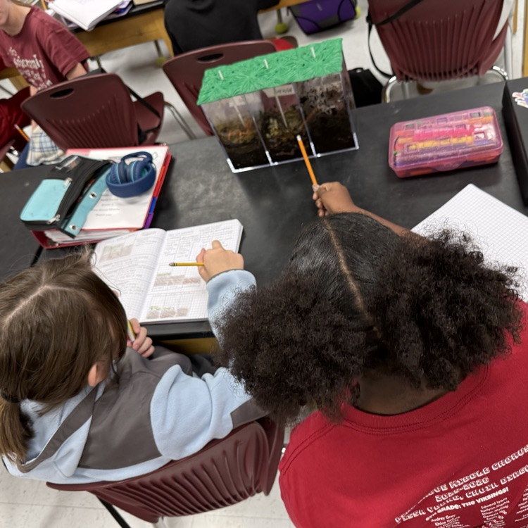 students examining compost