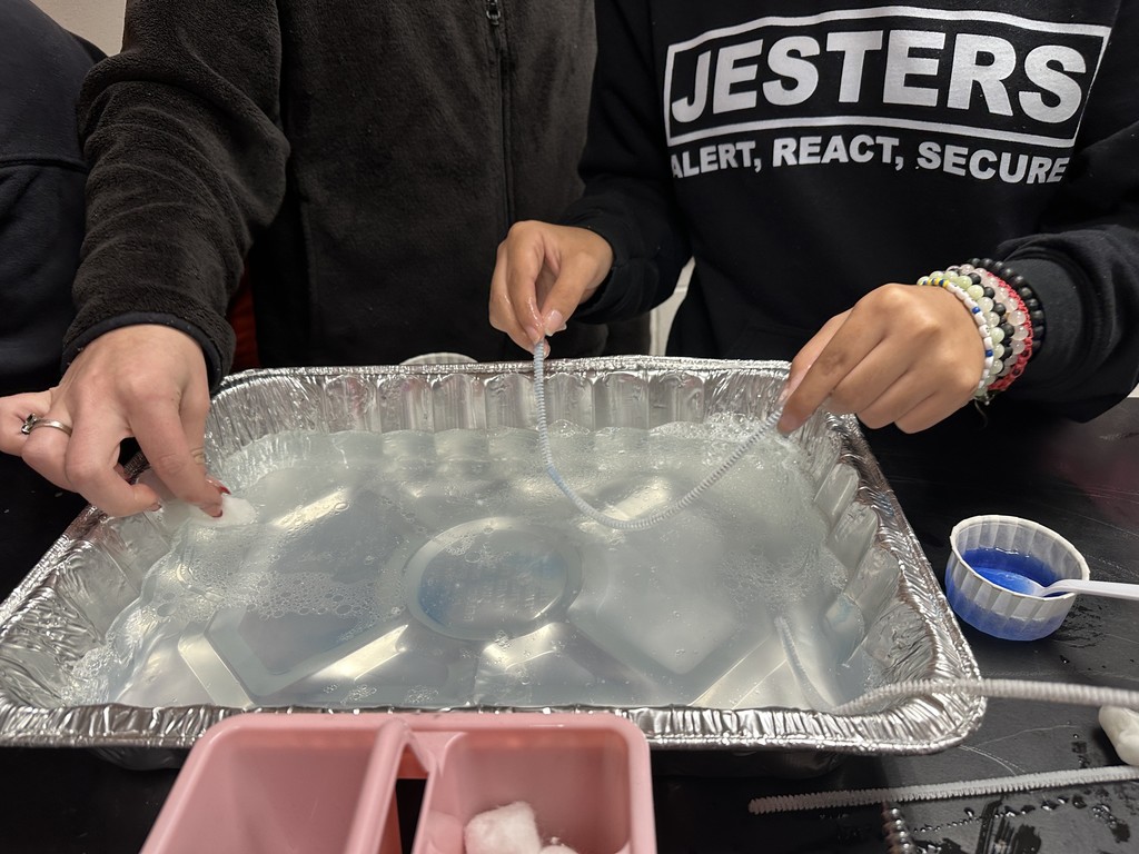 Pan used in oil spill experiment