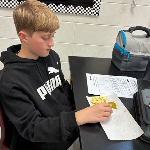 students doing experiment