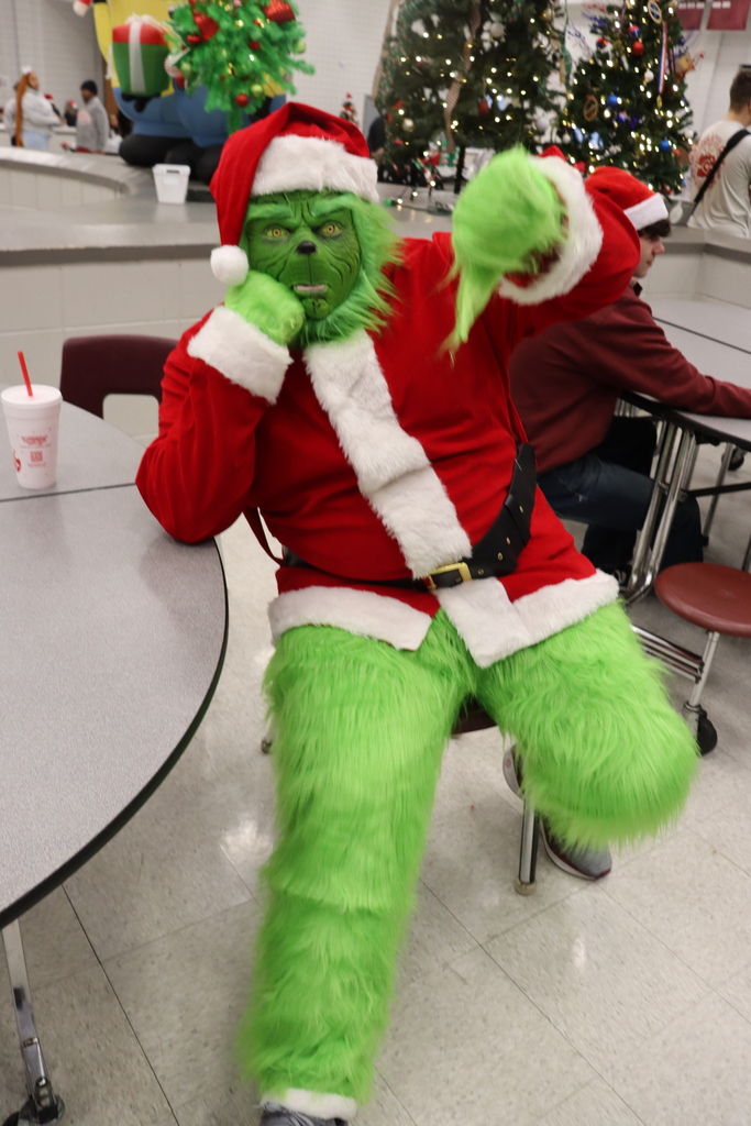 The Grinch wasn't happy about all the Christmas cheer!