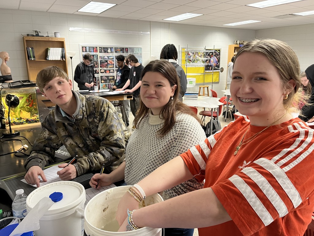 Students conducting an experiment