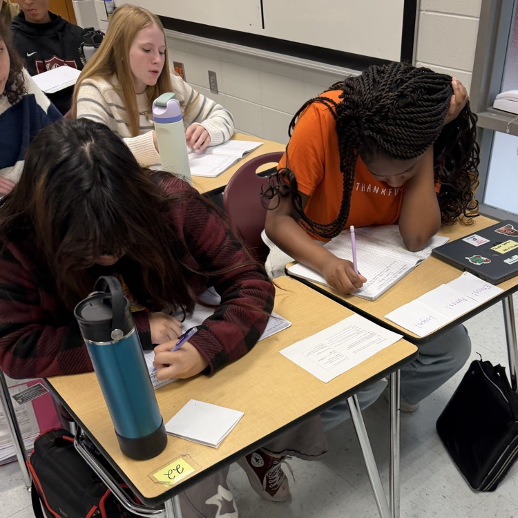 students working on interdisciplinary project