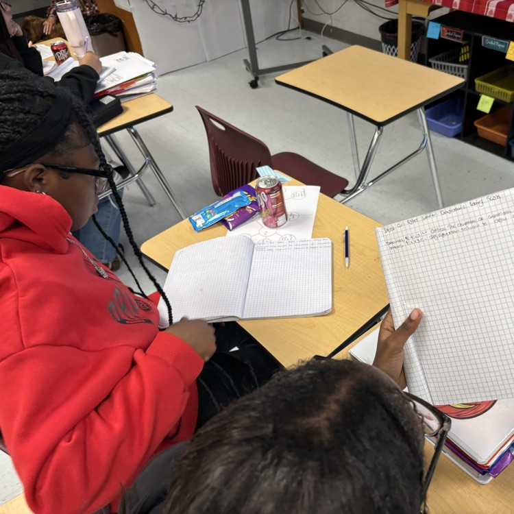 students working on interdisciplinary project