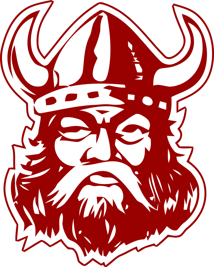 Viking head logo