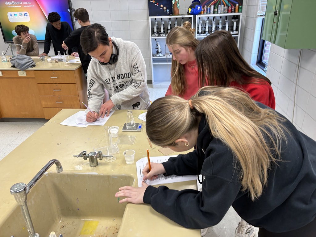 Students noting their observations