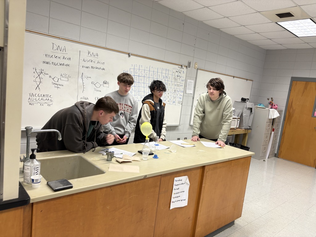 Stuidents conducting an experiment