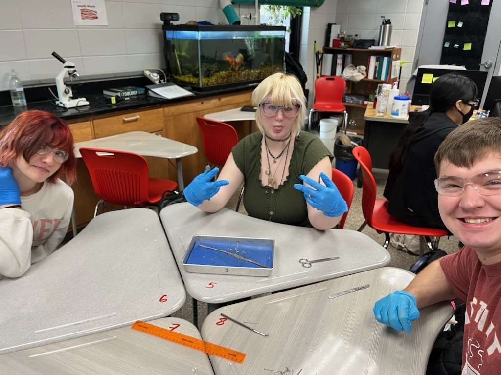 Students dissecting an earthworm