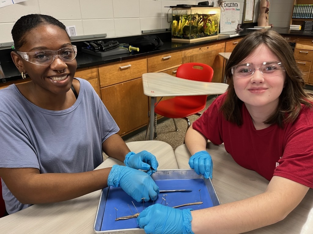 Students dissecting an earthworm