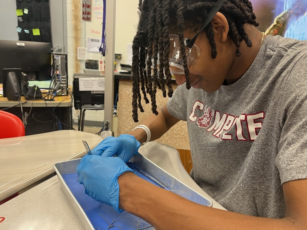 Students dissecting an earthworm