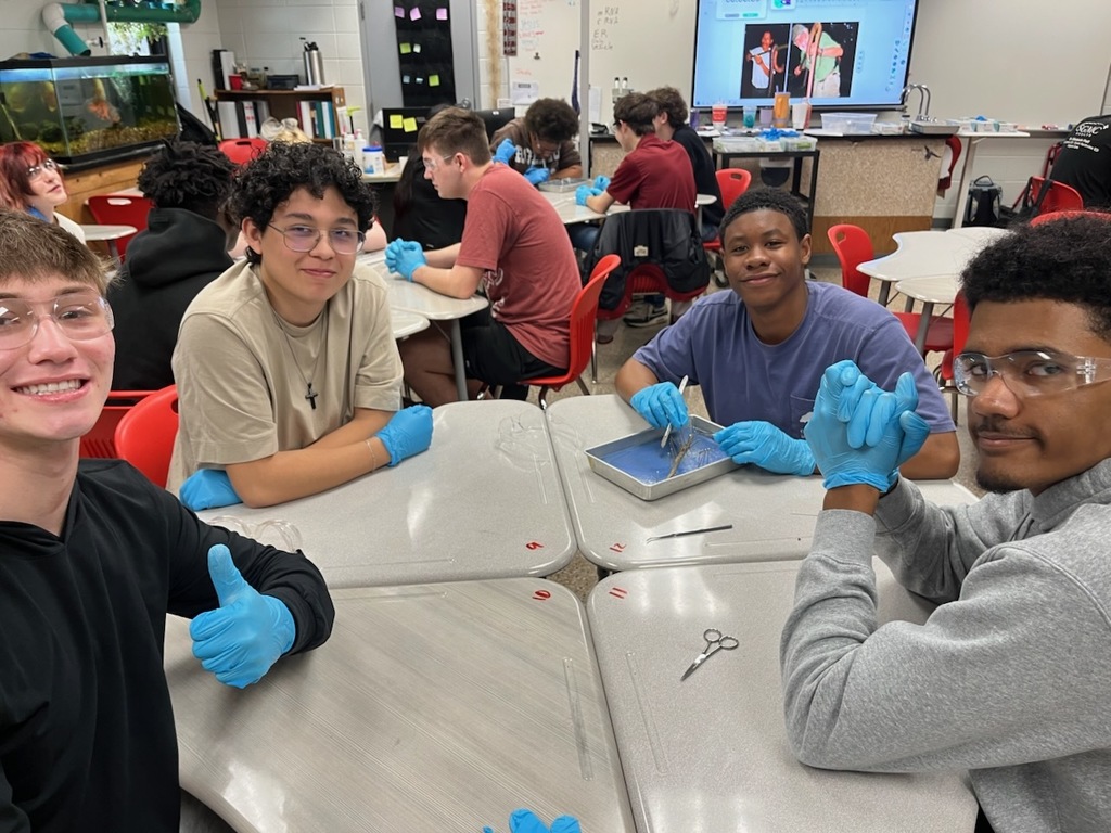 Students dissecting an earthworm