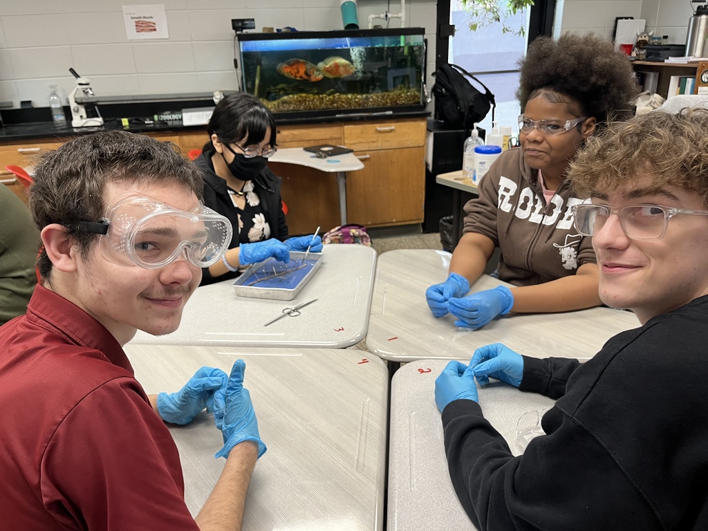 Students dissecting an earthworm