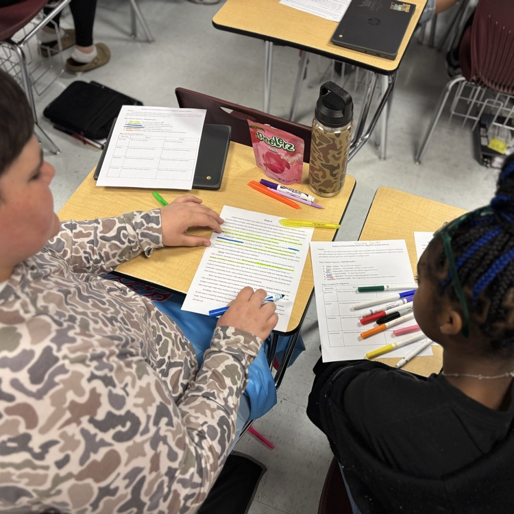 students analyzing writing 