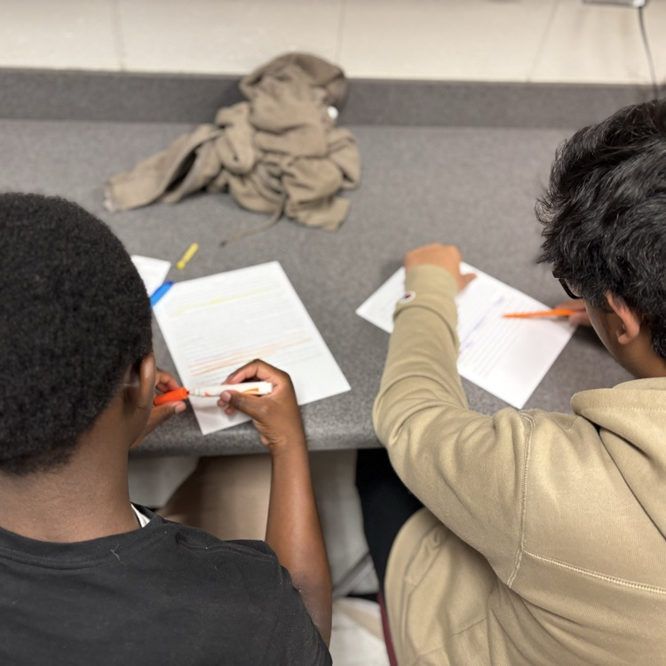 students analyzing writing 