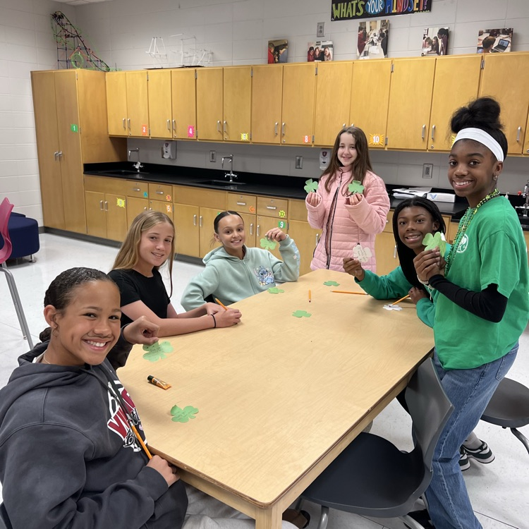 SOS lucky duck project 