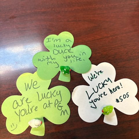 SOS lucky duck project 