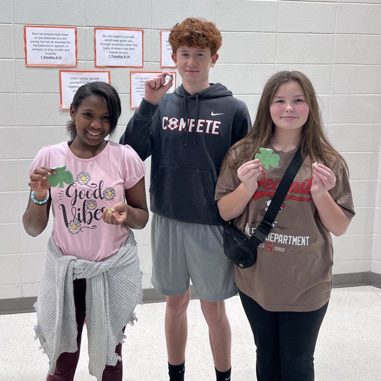 SOS lucky duck project 