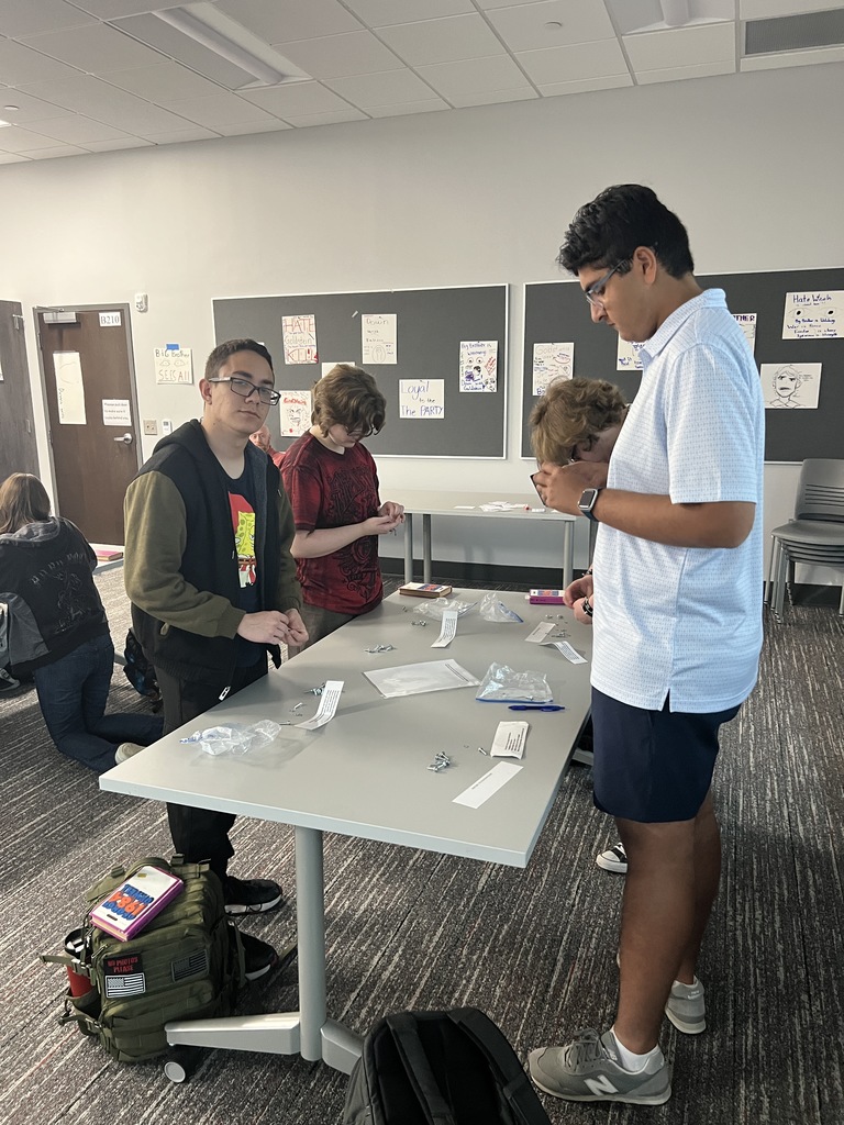 Group working on tasks