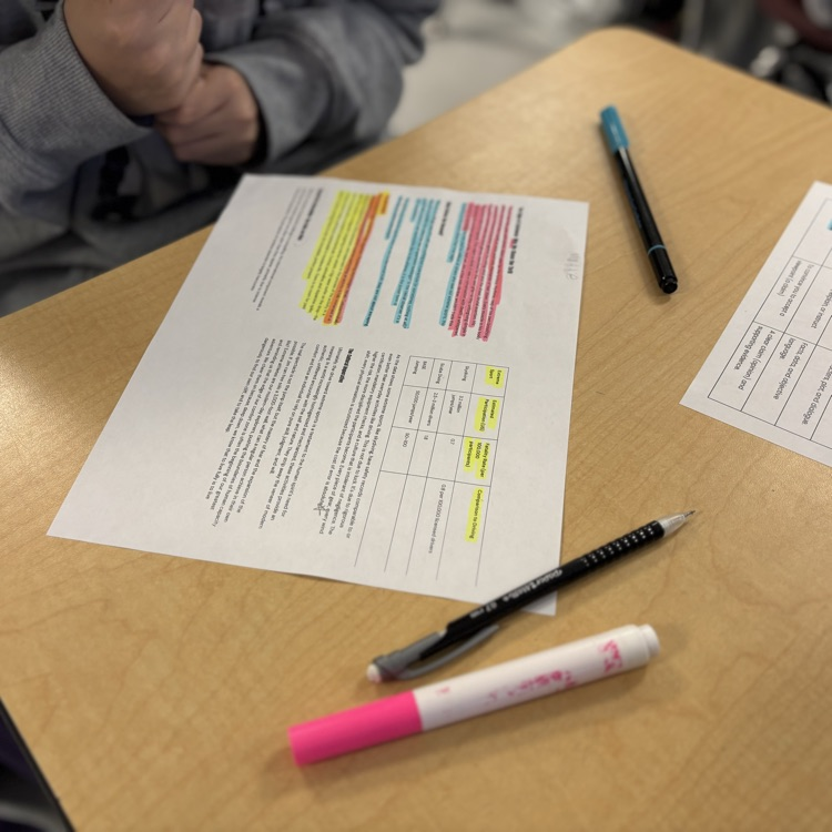 students analyzing text techniques 